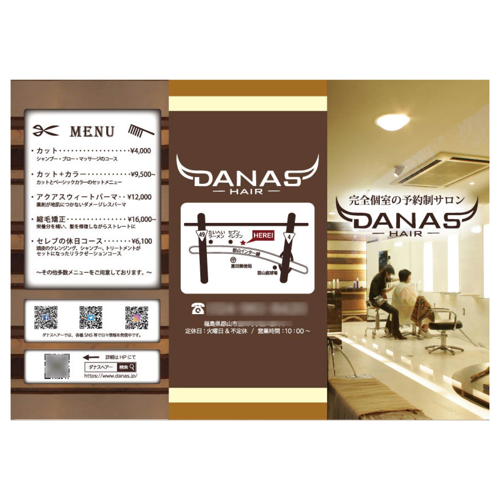DANASHAIRリーフレット表